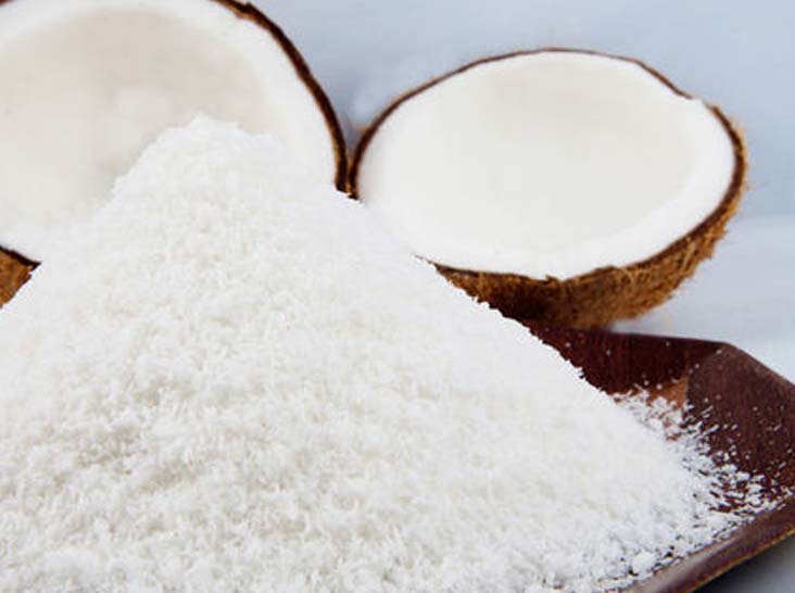 Coconut Exporters in Kerala